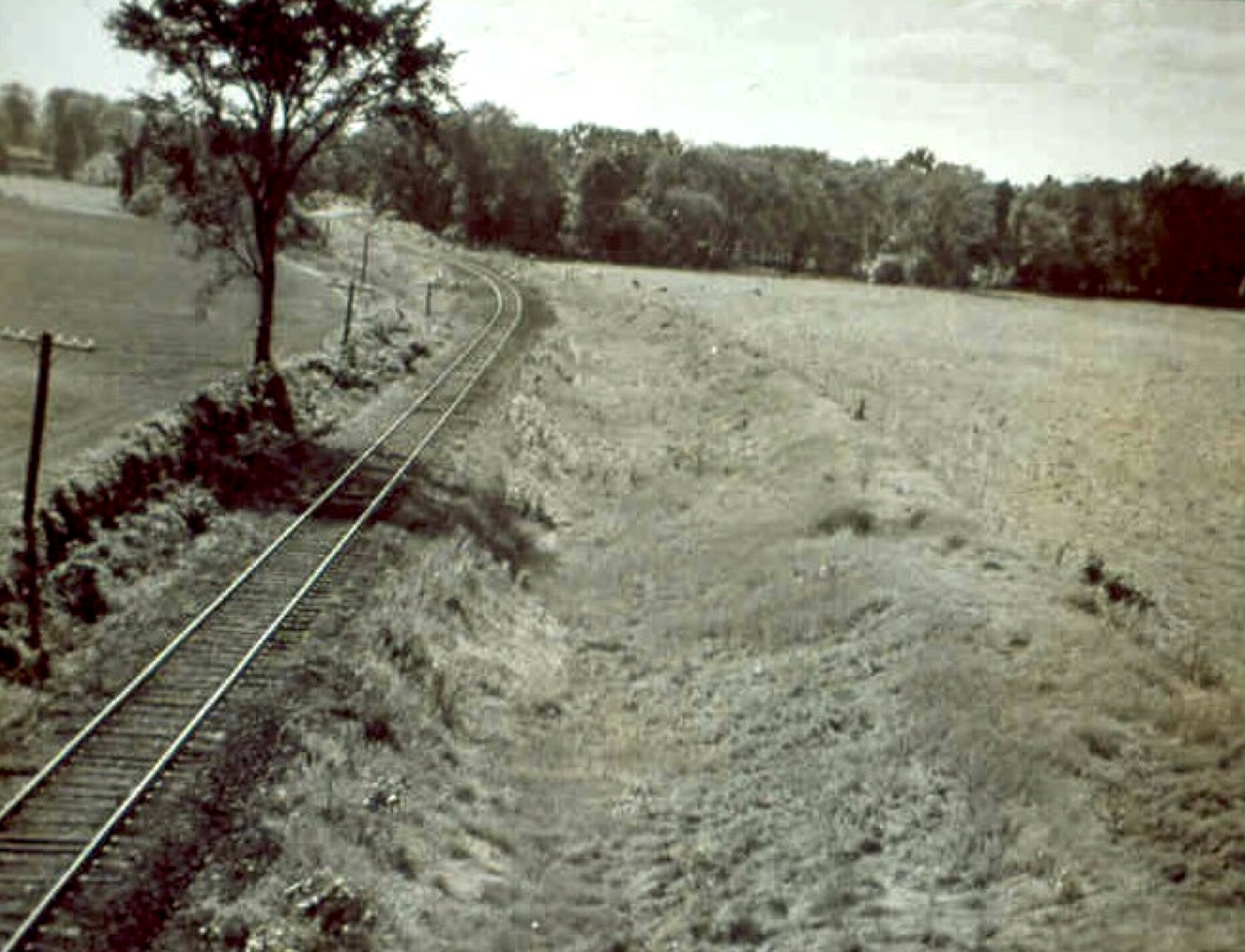 #4 Tracks on Towpath.jpg